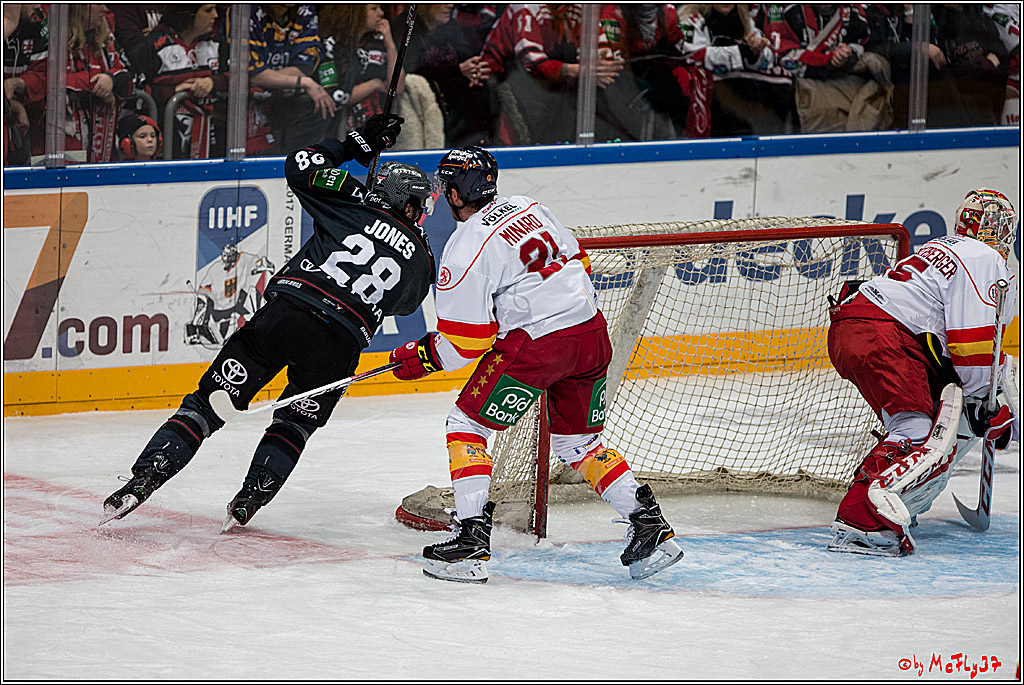 Koelner Haie - Duesseldorfer EG, 18.12.2016